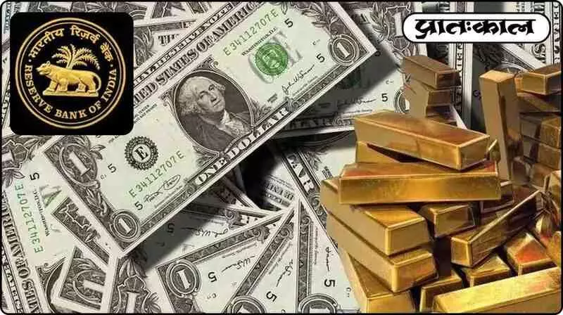 India forex reserve increase 2025 India forex reserve increase 2025