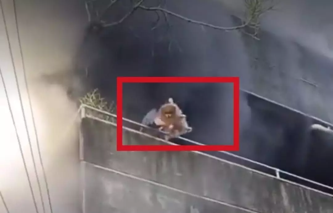Motherhood in Cebu: Woman throws dogs to safety from burning balcony