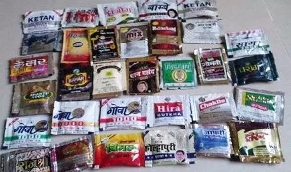 Police crack down on gutkha sales in Moti Bagh, confiscate banned tobacco and file case against two shopkeepers Police crack down on gutkha sales in Moti Bagh, confiscate banned tobacco and file case against two shopkeepers