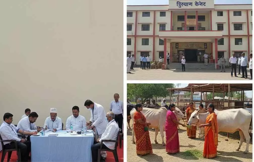 From blood donation to development exhibition: From blood donation to development exhibition: