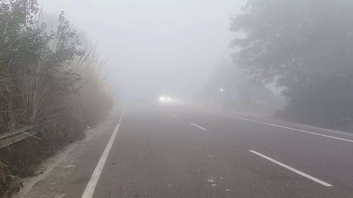 Bayana covered in thick fog, life affected