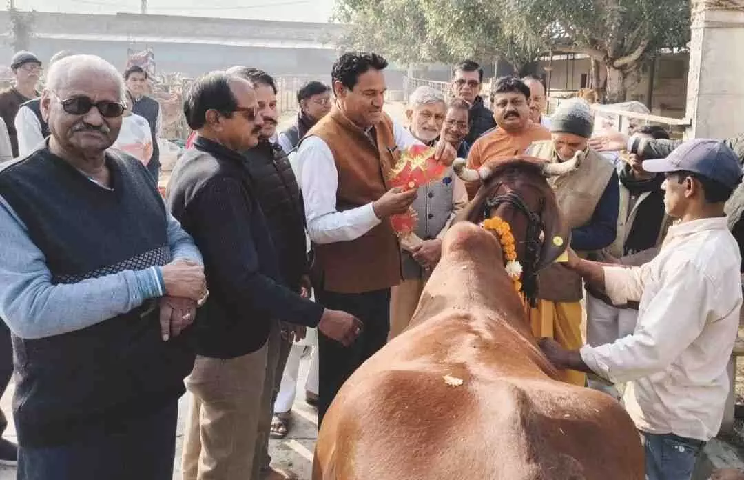 Cow worship program organized at Nandini Gaushala in Baran Cow worship program organized at Nandini Gaushala in Baran