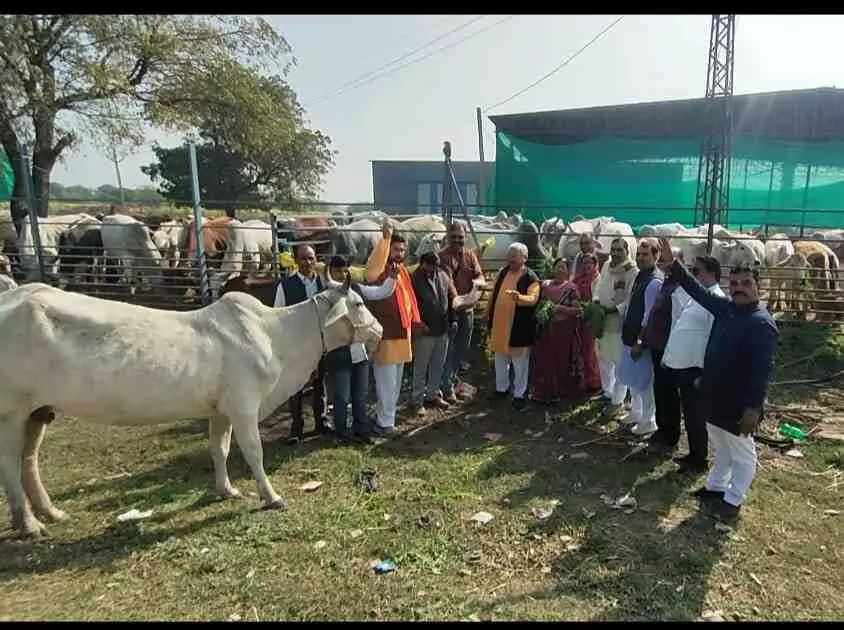 Chief Minister Bhajan Lal Sharma.