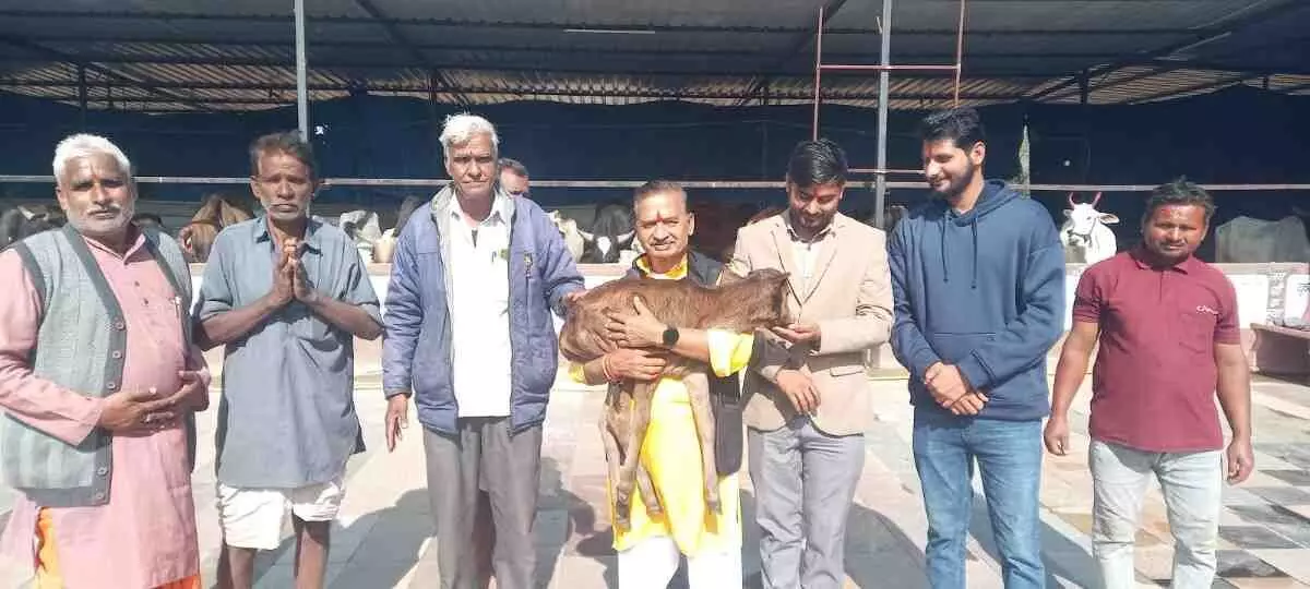 Sanskrit Conversation: The Original Heritage of Sanatan Culture Himanjay Paliwal