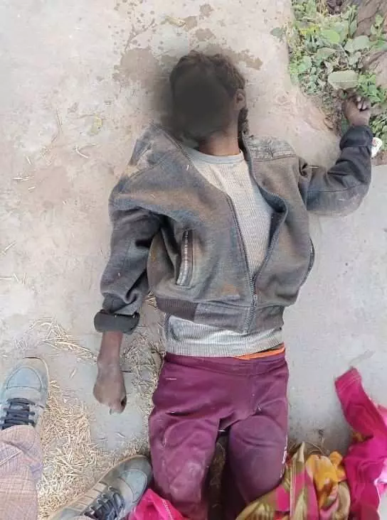the body of a youth was found under a Neem tree in Jhadol, the body of a youth was found under a Neem tree in Jhadol,