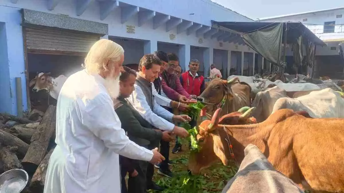 On the birthday of Chief Minister Bhajanlal Sharma,