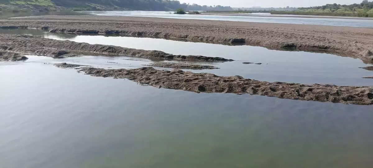Organized sand plunder from the Panganga River in Korpana, allegations of administrative protection create uproar Organized sand plunder from the Panganga River in Korpana, allegations of administrative protection create uproar