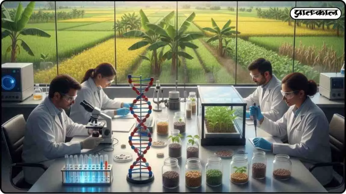 Scientific initiative of DAE and BARC; 18 lakh quintals of seeds from Trombay region ready for farmers Scientific initiative of DAE and BARC; 18 lakh quintals of seeds from Trombay region ready for farmers