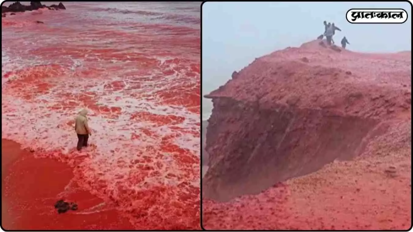 Have you ever seen blood rain? Learn how it rained red on the island of Hormuz. Have you ever seen blood rain? Learn how it rained red on the island of Hormuz.