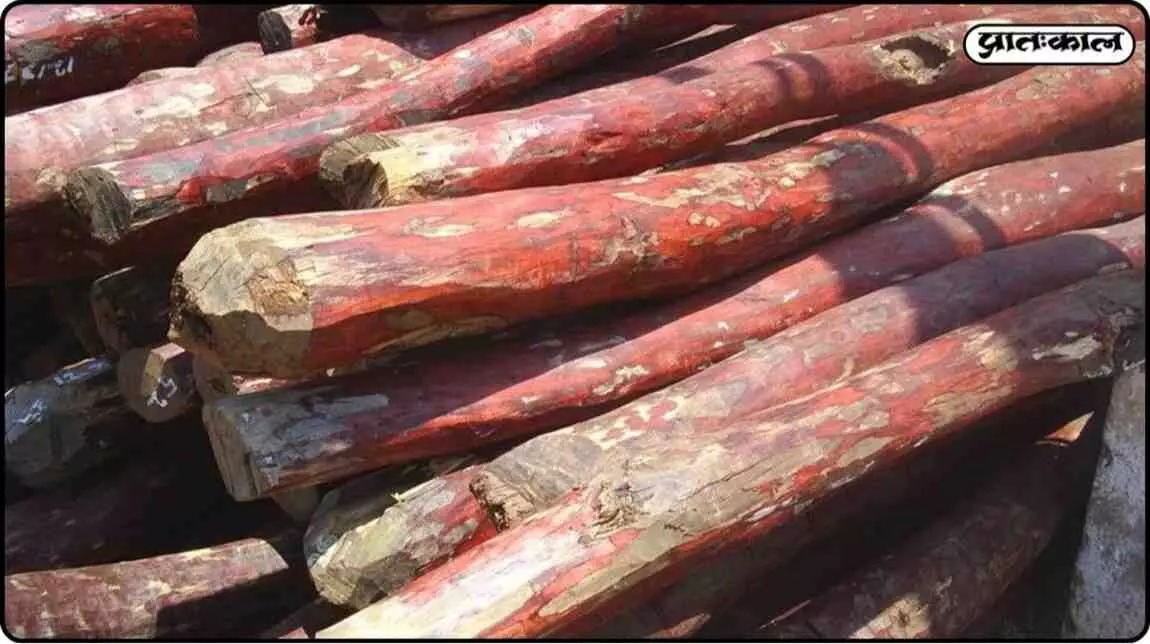 ABS funds strengthen red sander conservation; ₹14.88 crore disbursed to Andhra Pradesh ABS funds strengthen red sander conservation; ₹14.88 crore disbursed to Andhra Pradesh
