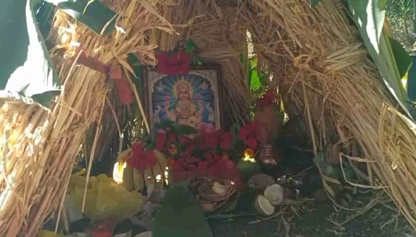 With the chants of Valge-Valge Salam Palge, the Amavasya feast in Latur brings the farming culture alive in the fields. With the chants of Valge-Valge Salam Palge, the Amavasya feast in Latur brings the farming culture alive in the fields.