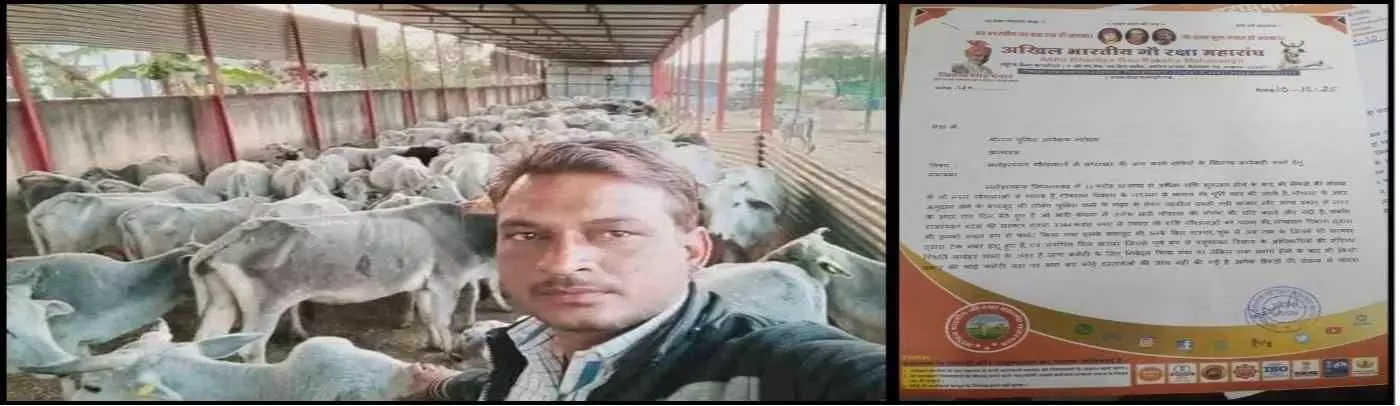 alleged corruption worth crores of rupees in cow shelters in Jhalawar alleged corruption worth crores of rupees in cow shelters in Jhalawar