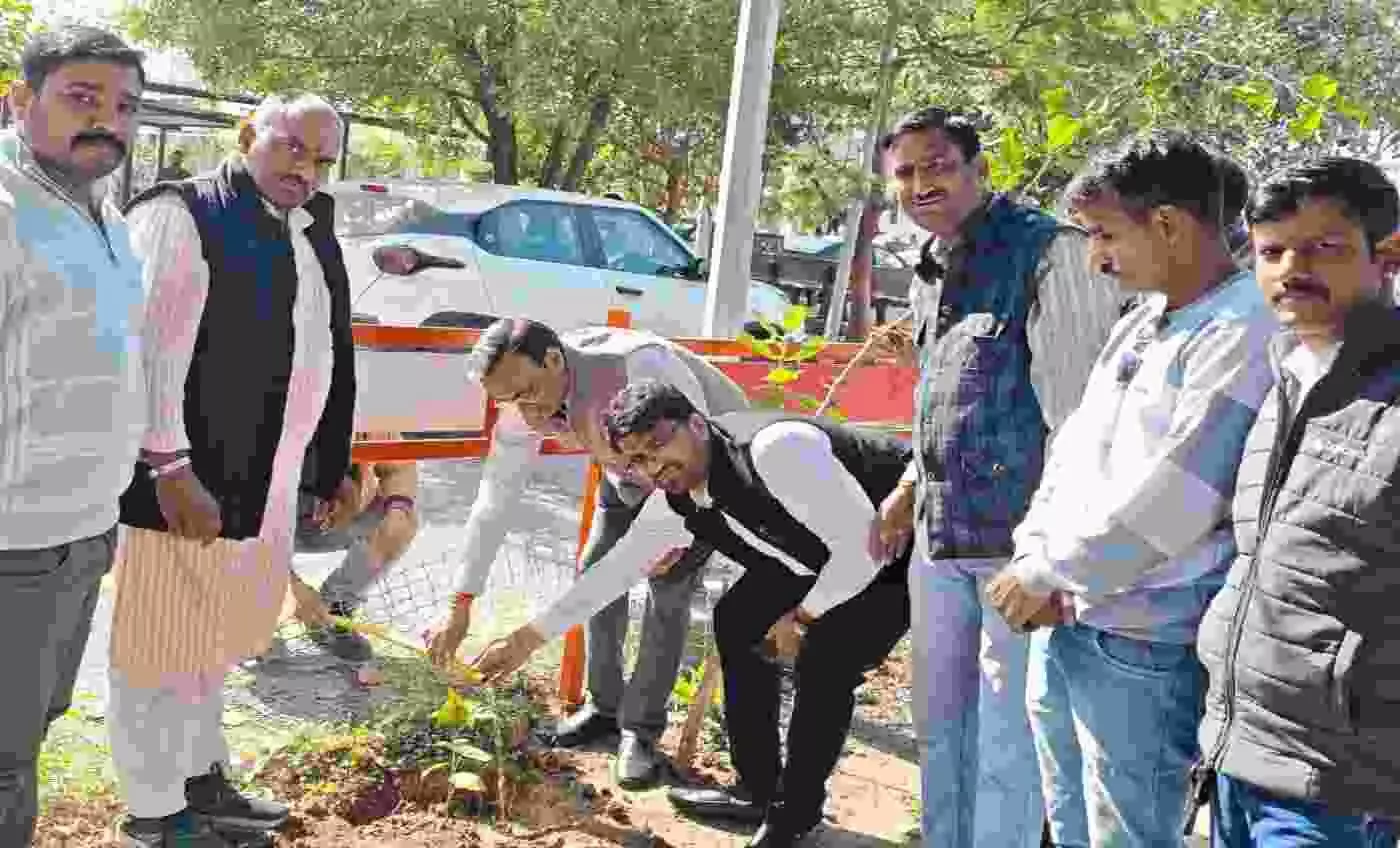 Sindoor saplings were planted in the district court premises under the Har Mandir Sindoor Abhiyan Sindoor saplings were planted in the district court premises under the Har Mandir Sindoor Abhiyan