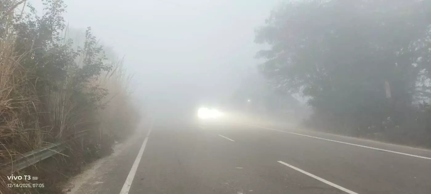 Severe cold and dense fog affect normal life in Bayana Severe cold and dense fog affect normal life in Bayana