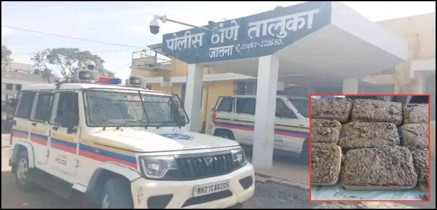 18 kg of marijuana seized in Mantha Chowfuli, Jalna Taluka police take major action; allegations of concealment spark uproar 18 kg of marijuana seized in Mantha Chowfuli, Jalna Taluka police take major action; allegations of concealment spark uproar