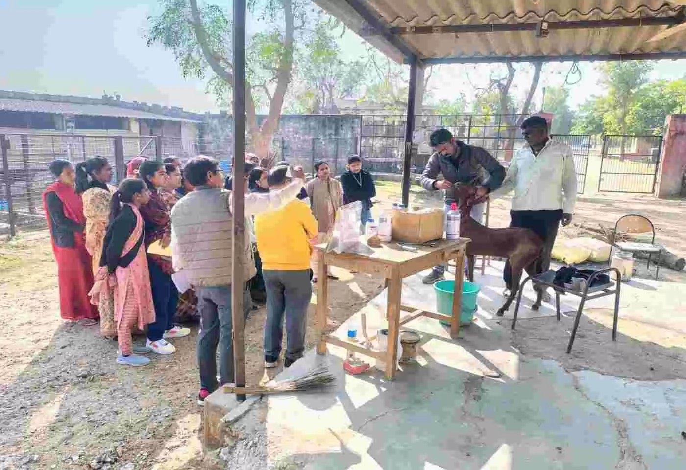 Successful completion of two-day Pashu Sakhi training, rural animal husbandry gets a new direction Successful completion of two-day Pashu Sakhi training, rural animal husbandry gets a new direction