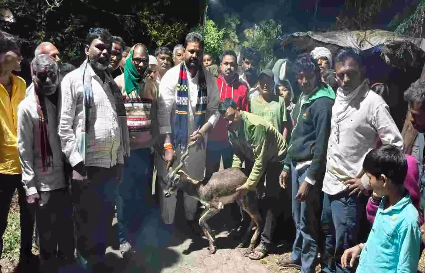 Jyotiram Chivade Patil rescues Kalvit injured in dog attack, setting an example for humanity Jyotiram Chivade Patil rescues Kalvit injured in dog attack, setting an example for humanity