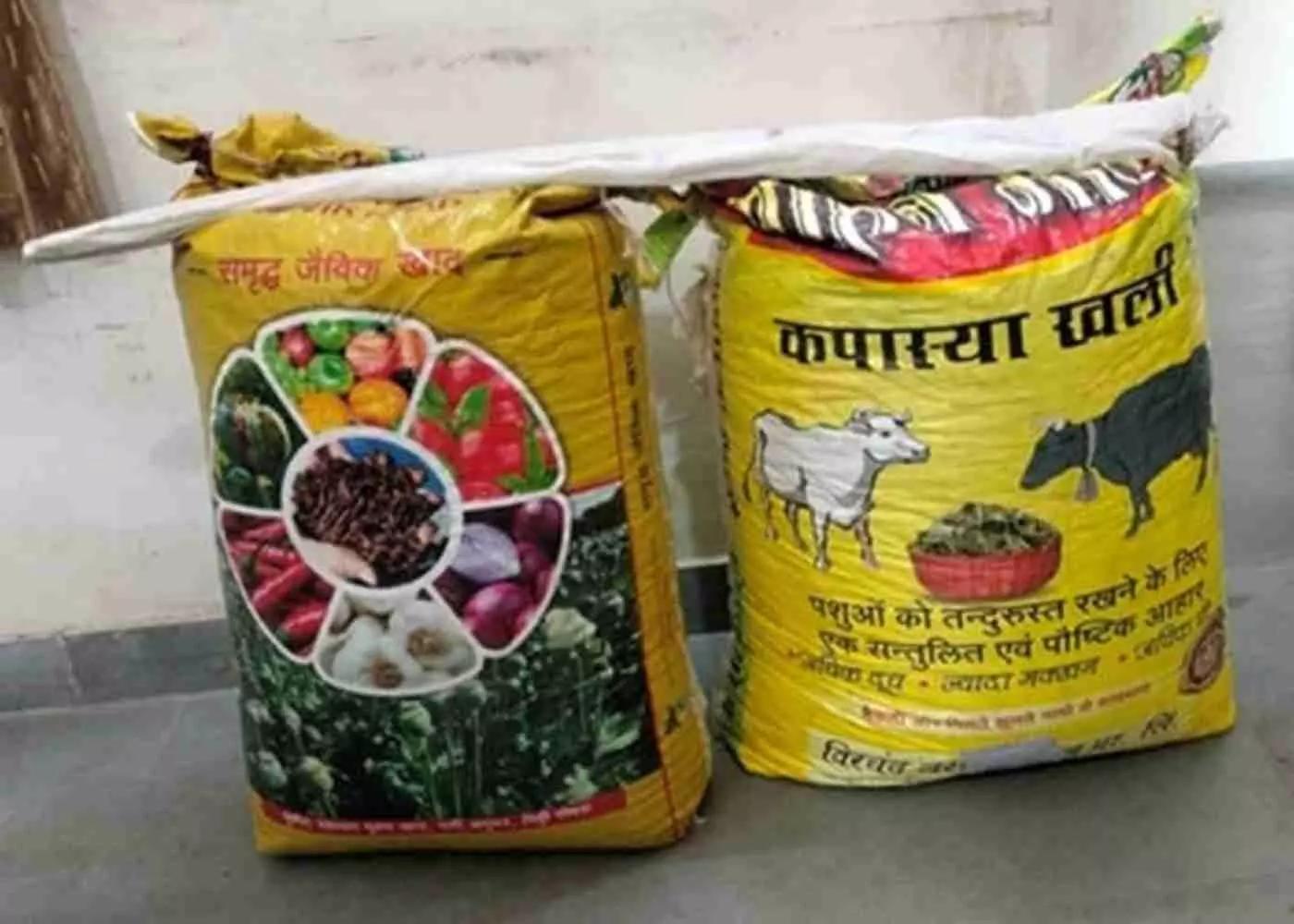 हमीरगढ़ पुलिस ने 41 किलो डोडा चूरा और पिकअप वाहन जब्त, चालक फरार हमीरगढ़ पुलिस ने 41 किलो डोडा चूरा और पिकअप वाहन जब्त, चालक फरार