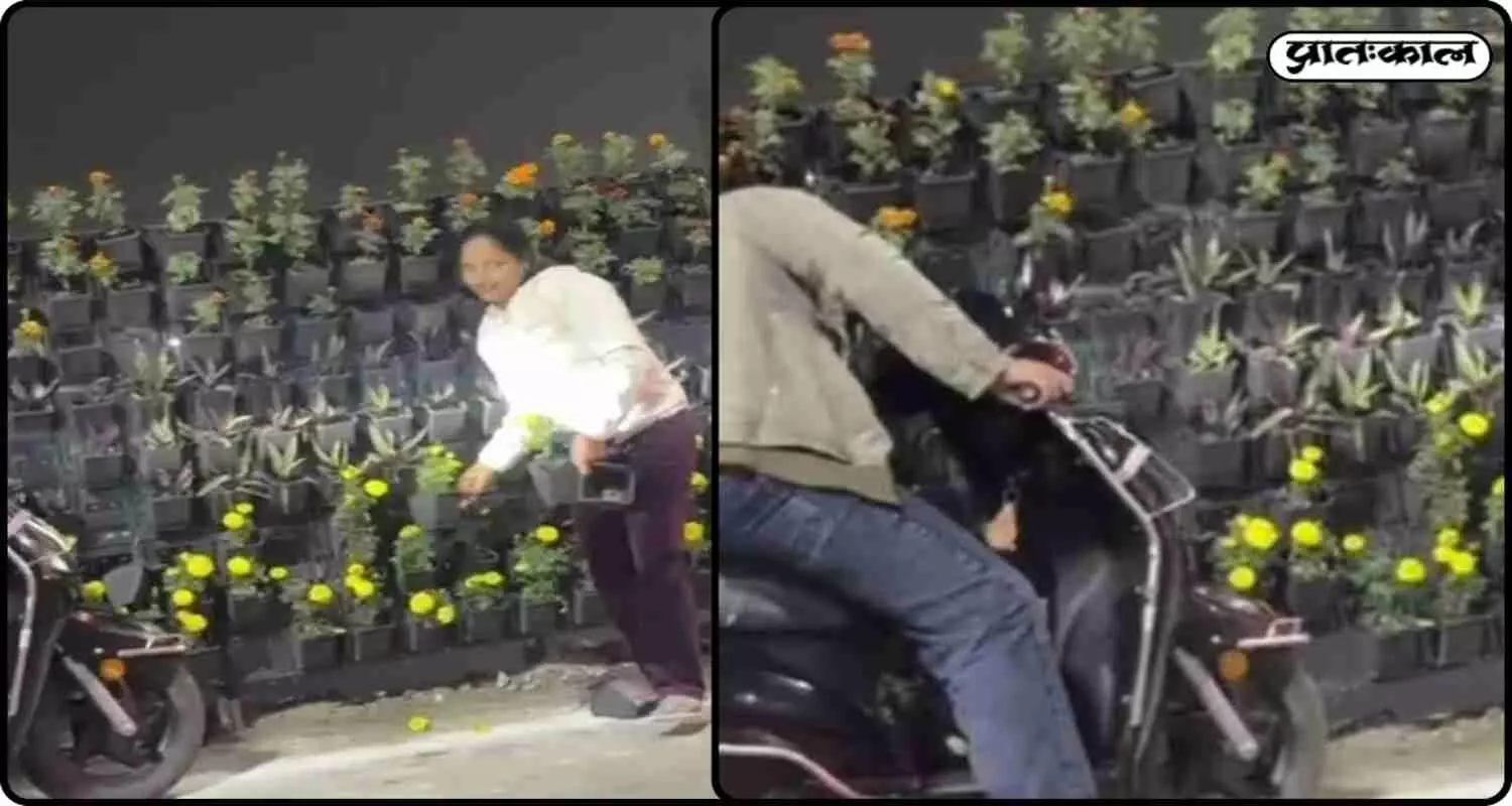 लखनऊ में पीएम मोदी की यात्रा के बाद फूलों के गमले चोरी; राष्ट्रीय प्रेरणा स्थल पर वायरल वीडियो लखनऊ में पीएम मोदी की यात्रा के बाद फूलों के गमले चोरी; राष्ट्रीय प्रेरणा स्थल पर वायरल वीडियो