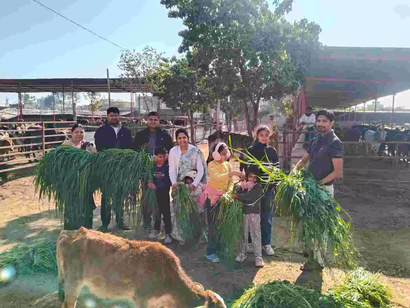 भीलवाड़ा: चार्टेड अकाउंटेंट अभिषेक जैन ने गौशाला में मनाया 36वां जन्मदिन भीलवाड़ा: चार्टेड अकाउंटेंट अभिषेक जैन ने गौशाला में मनाया 36वां जन्मदिन