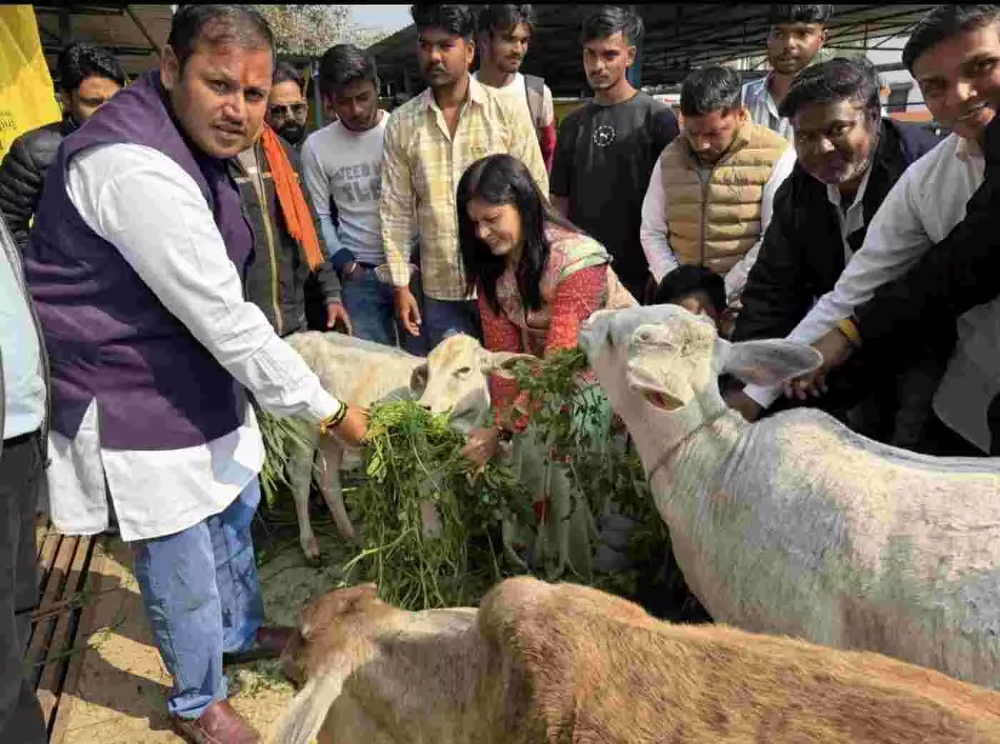 बारां में कांग्रेस नेता यश जैन भाया का जन्मदिन सेवा और देवदर्शन के साथ उत्साहपूर्वक मनाया गया बारां में कांग्रेस नेता यश जैन भाया का जन्मदिन सेवा और देवदर्शन के साथ उत्साहपूर्वक मनाया गया