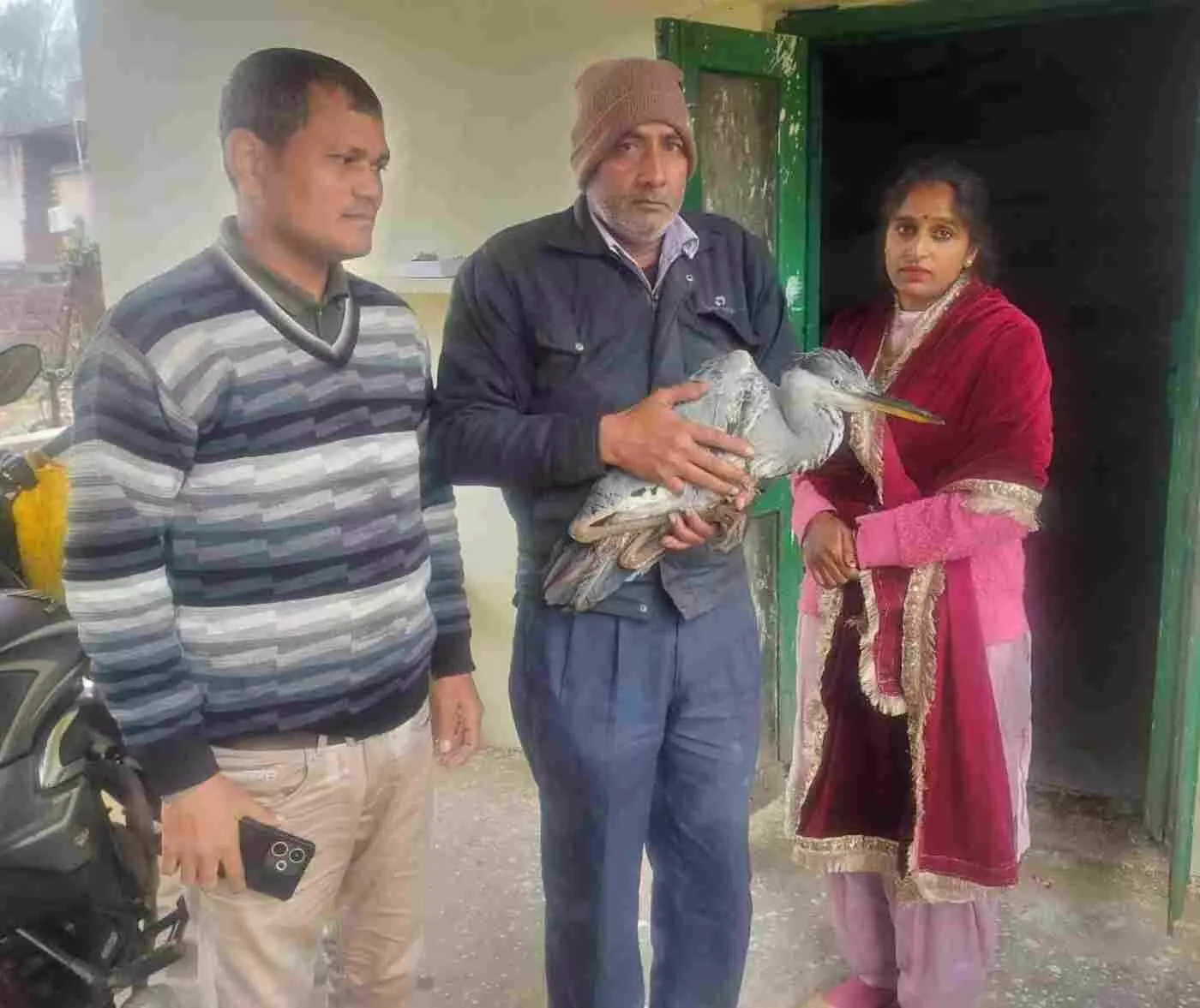 भुसावर: अलीपुर में मिला दुर्लभ विदेशी मेहमान, वन विभाग ने रेस्क्यू कर सुरक्षित पहुँचाया केवलादेव नेशनल पार्क भुसावर: अलीपुर में मिला दुर्लभ विदेशी मेहमान, वन विभाग ने रेस्क्यू कर सुरक्षित पहुँचाया केवलादेव नेशनल पार्क