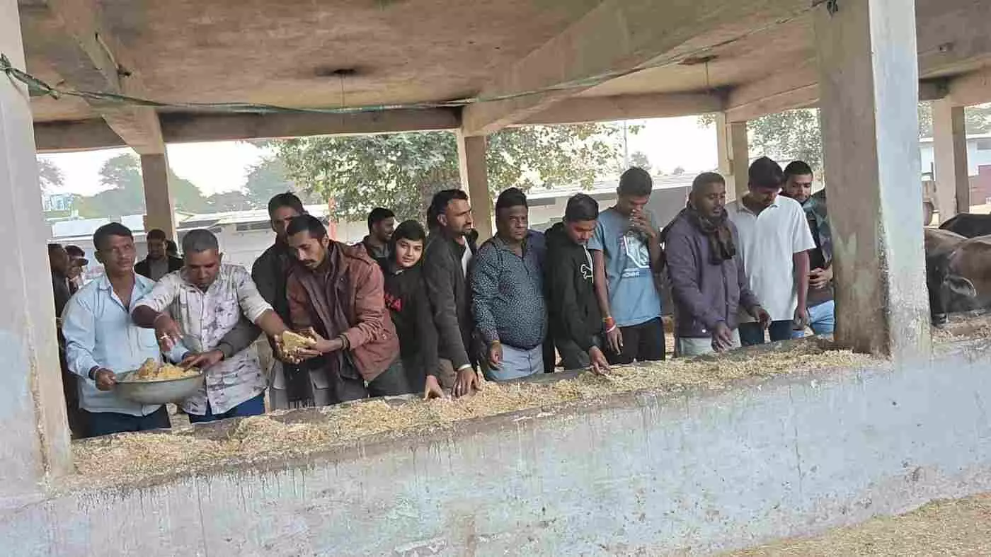 चिकारड़ा: नव वर्ष पर उमड़ा श्रद्धा का सैलाब, 7 क्विंटल लापसी के भोग से हुआ गौ माता का वंदन