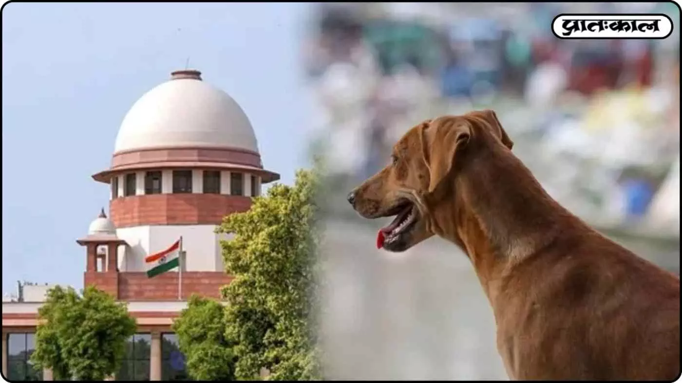 आवारा कुत्तों का आतंक: सुप्रीम कोर्ट की सिब्बल को सख्त टिप्पणी; आवारा कुत्तों का आतंक: सुप्रीम कोर्ट की सिब्बल को सख्त टिप्पणी;