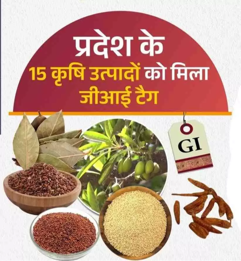 Generations of farming have received legal approval; 15 Uttarakhand products have earned the GI tag. Generations of farming have received legal approval; 15 Uttarakhand products have earned the GI tag.