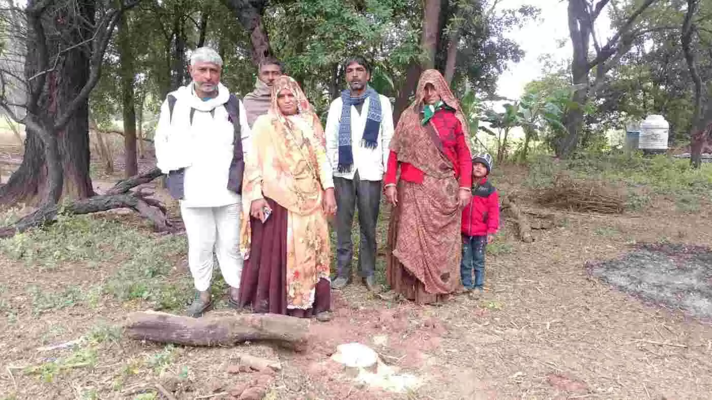 चित्तौड़गढ़: पारसोली में खाकी की कुंभकरणी नींद और तस्करों का तांडव, बनियास गांव से 200 पेड़ साफ