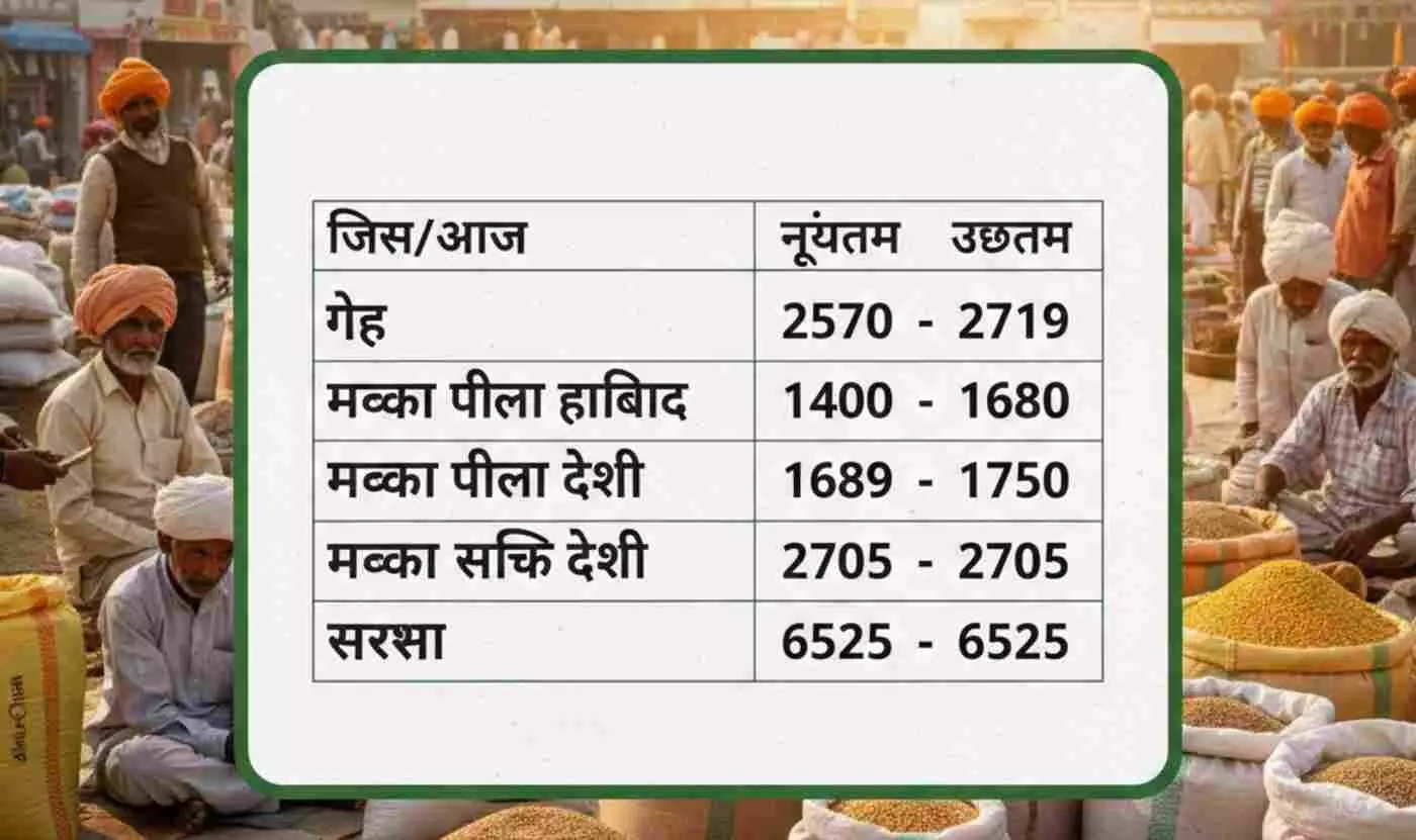 Ai generated image.फतहनगर मण्डी में अनाज की कीमतों में आया उछाल, गेहूं और मक्का के भावों ने पकड़ी रफ्तार