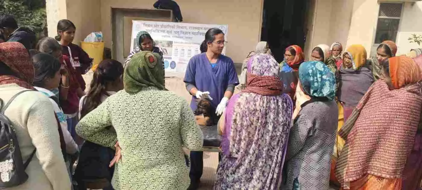 उदयपुर: नवानिया वेटरनरी कॉलेज में श्वान प्रबंधन पर दो दिवसीय गहन प्रशिक्षण संपन्न, छात्राओं ने सीखीं आधुनिक तकनीकें उदयपुर: नवानिया वेटरनरी कॉलेज में श्वान प्रबंधन पर दो दिवसीय गहन प्रशिक्षण संपन्न, छात्राओं ने सीखीं आधुनिक तकनीकें