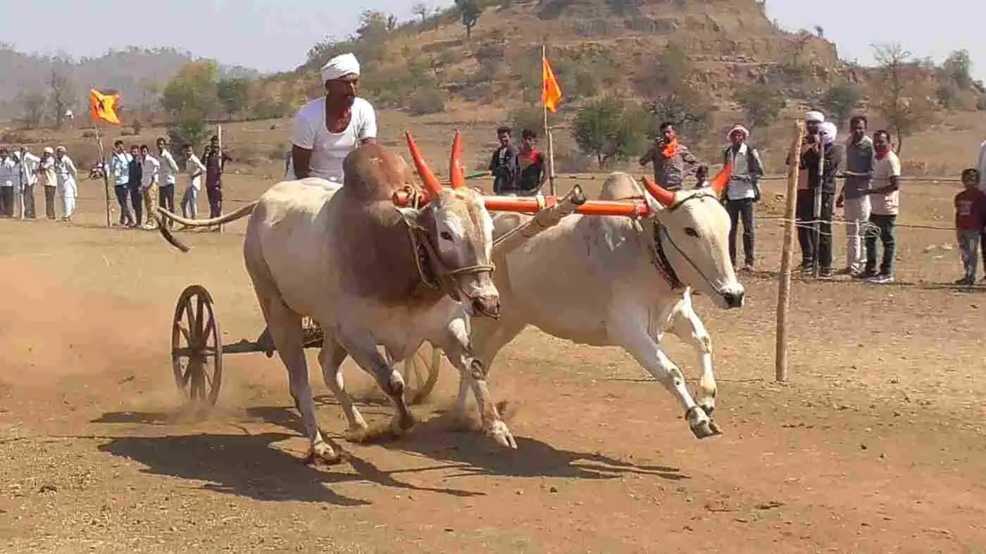 चंद्रपुर: नारंडा में 100 साल पुरानी परंपरा का शंखनाद, 13 जनवरी से सजेगा भव्य शंकर पट का मैदान चंद्रपुर: नारंडा में 100 साल पुरानी परंपरा का शंखनाद, 13 जनवरी से सजेगा भव्य शंकर पट का मैदान