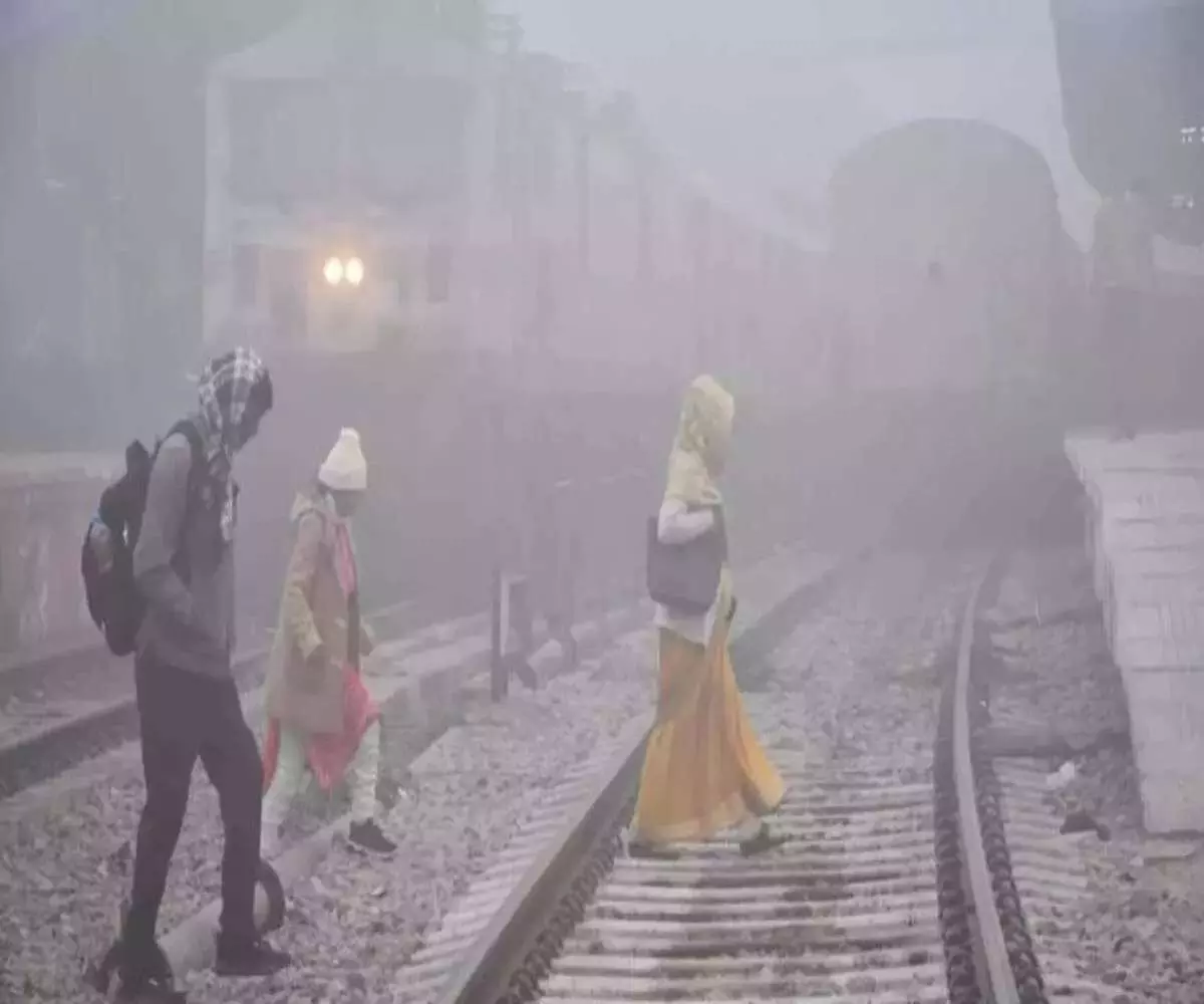Double blow of fog and cold wave brings life to a standstill Double blow of fog and cold wave brings life to a standstill