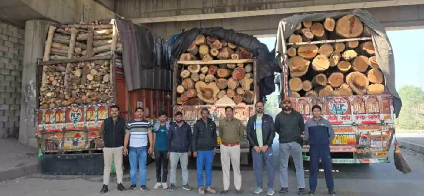डूंगरपुर: ऑपरेशन पृथ्वी के तहत बिछीवाड़ा पुलिस की बड़ी कार्रवाई, अवैध गीली लकड़ी से भरे तीन ट्रक जब्त डूंगरपुर: ऑपरेशन पृथ्वी के तहत बिछीवाड़ा पुलिस की बड़ी कार्रवाई, अवैध गीली लकड़ी से भरे तीन ट्रक जब्त