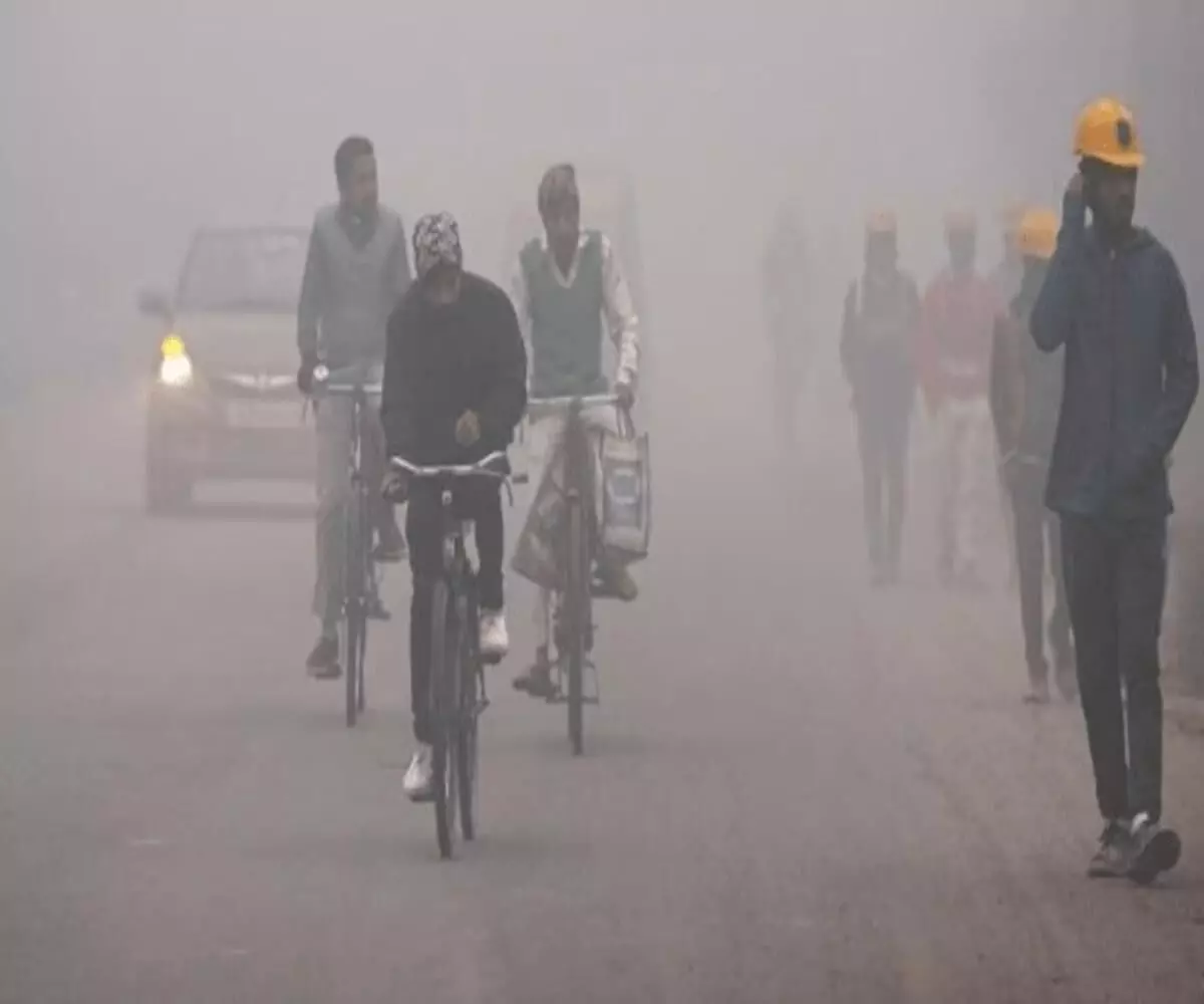 Is Delhi experiencing cold and fog today- Check out the latest weather forecast. Is Delhi experiencing cold and fog today- Check out the latest weather forecast.