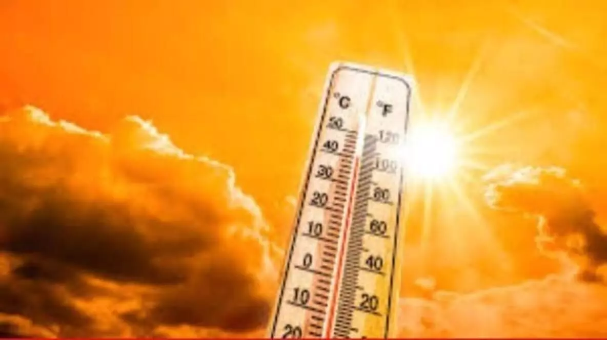 The havoc of changing weather—unexpected rise in temperatures in North India The havoc of changing weather—unexpected rise in temperatures in North India