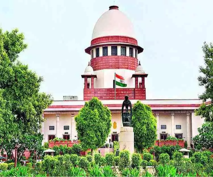 Supreme Court takes tough stand on stray dog attacks Supreme Court takes tough stand on stray dog attacks