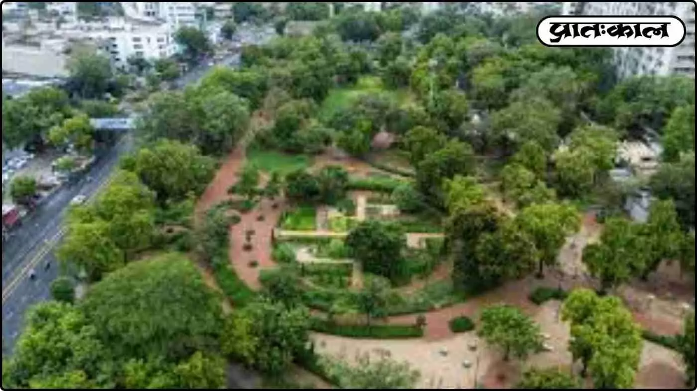 वडनगर में हरियाली की ऐतिहासिक पहल; हार्टफुलनेस इंस्टीट्यूट और गुजरात सरकार के सहयोग से 50 हजार दुर्लभ पौधों का रोपण वडनगर में हरियाली की ऐतिहासिक पहल; हार्टफुलनेस इंस्टीट्यूट और गुजरात सरकार के सहयोग से 50 हजार दुर्लभ पौधों का रोपण