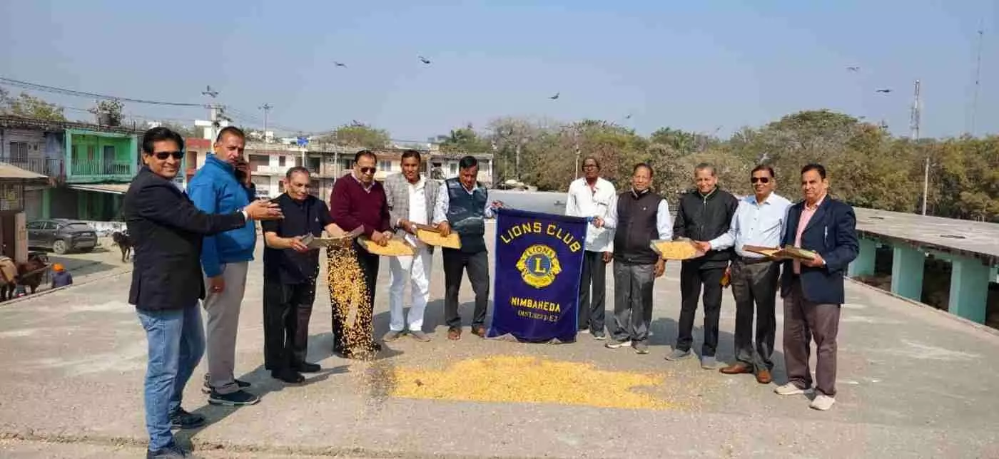 निंबाहेड़ा में पक्षी सेवा के साथ गूंजा मानवता का संदेश: लायंस क्लब ने जीव दया के संकल्प संग मनाया मेल्विन जॉन्स का जन्मदिन