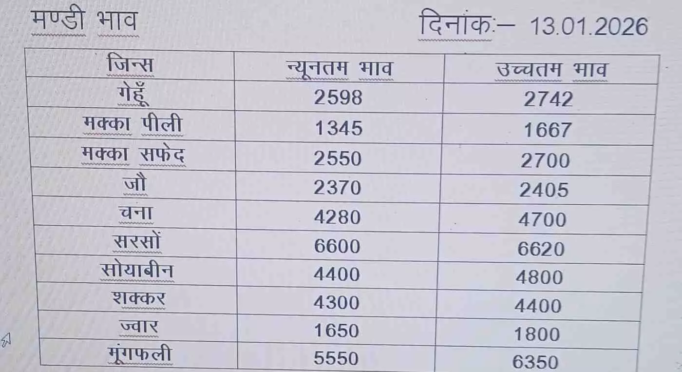 फतेहनगर मंडी से बड़ी खबर: मकर संक्रांति पर थमेगी जिन्सों की नीलामी, किसानों के लिए महत्वपूर्ण चेतावनी जारी