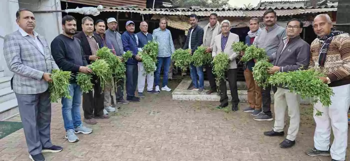 कोटा: ऊर्जा मंत्री हीरालाल नागर के जन्मदिन पर सेवा का संकल्प, गौसेवा और बच्चों के बीच खुशियां बांटकर मनाया उत्सव कोटा: ऊर्जा मंत्री हीरालाल नागर के जन्मदिन पर सेवा का संकल्प, गौसेवा और बच्चों के बीच खुशियां बांटकर मनाया उत्सव