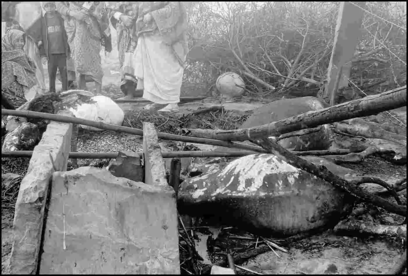 बयाना में भीषण अग्निकांड का तांडव: छप्पर में लगी आग ने ली चार बेजुबानों की जान, राख हुआ गृहस्थी का सपना