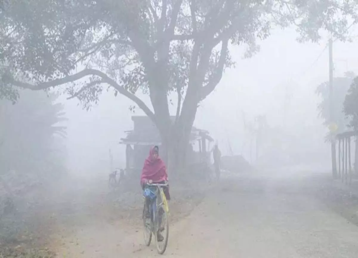 As temperatures plummet and icy winds sweep across the states As temperatures plummet and icy winds sweep across the states