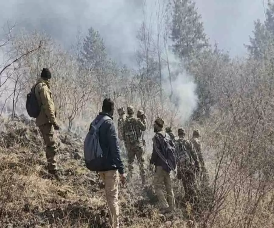 Himalayan biodiversity in danger, administration on alert Himalayan biodiversity in danger, administration on alert