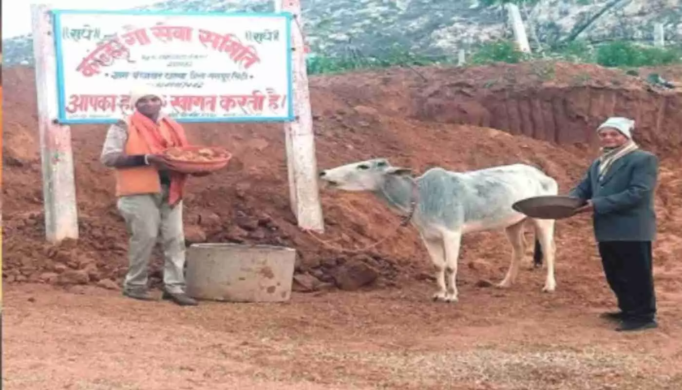 गंगापुर सिटी में श्रद्धा का सैलाब: कान्हा गौ-शाला में मकर संक्रांति पर उमड़ा जनसैलाब, गौ-सेवा से गूंजा चकछाबा