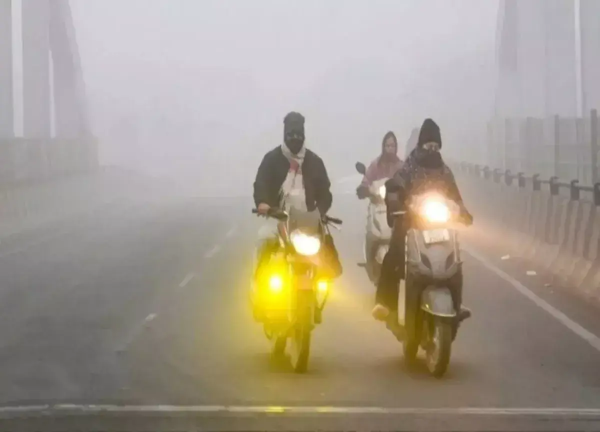 Natures double blow to North India: Cold winds and deadly fog shiver life Natures double blow to North India: Cold winds and deadly fog shiver life