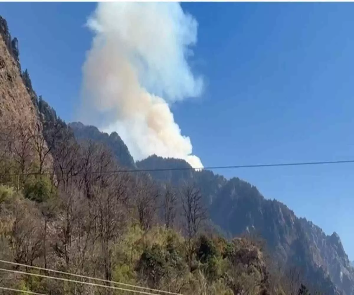Blazing Devbhoomi: Natures rampage in the forests of Niti Valley, Blazing Devbhoomi: Natures rampage in the forests of Niti Valley,