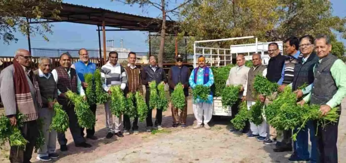 सेवा और समर्पण की मिसाल: चित्तौड़गढ़ में प्रबुद्ध नागरिक सेवा संस्थान ने मनाया 16वां स्थापना दिवस, मरीजों और गौवंश की सेवा कर पेश की मानवता की नजीर