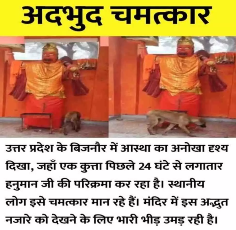Bijnors divine worship of a dog leaves a society torn between faith and logic. Bijnors divine worship of a dog leaves a society torn between faith and logic.